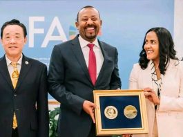 የኢትዮጵያን ተደማጭነት ከፍ ያደረገው የአረንጓዴ አሻራ ዲፕሎማሲ