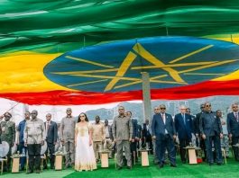 ለአፍሪካ ችግሮች አፍሪካዊ መፍትሔዎች