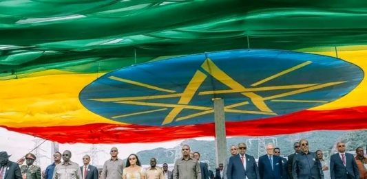 ለአፍሪካ ችግሮች አፍሪካዊ መፍትሔዎች