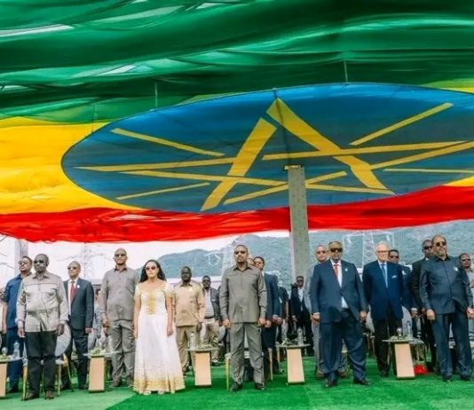 ለአፍሪካ ችግሮች አፍሪካዊ መፍትሔዎች