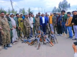 🕊️በማዕከላዊ ጎንደር ዞን በሺህዎች የሚቆጠሩ ታጣቂዎች የሰላም አማራጭን ተቀብለዋል።