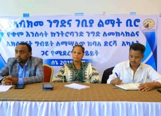 በአማራ ክልል 30 ሺህ የሚጠጋ የቁም እንስሳት ለውጭ ገበያ ቀርቧል።