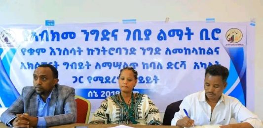 በአማራ ክልል 30 ሺህ የሚጠጋ የቁም እንስሳት ለውጭ ገበያ ቀርቧል።