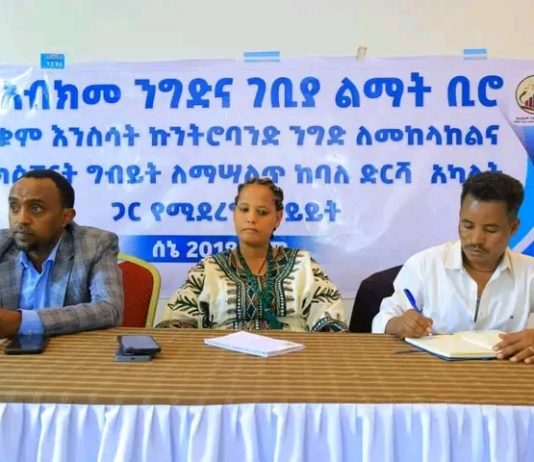 በአማራ ክልል 30 ሺህ የሚጠጋ የቁም እንስሳት ለውጭ ገበያ ቀርቧል።