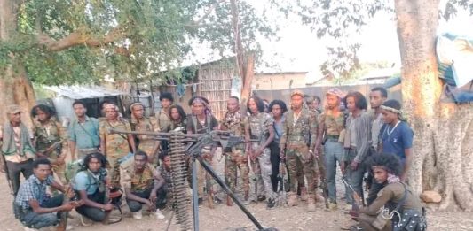 🕊በምዕራብ ጎንደር ዞን በርካታ የታጠቁ ኀይሎች የሰላምን አማራጭ እየተቀበሉ ነው።