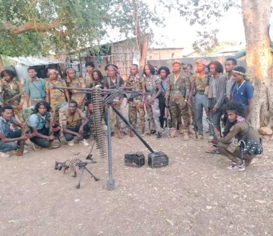 🕊በምዕራብ ጎንደር ዞን በርካታ የታጠቁ ኀይሎች የሰላምን አማራጭ እየተቀበሉ ነው።