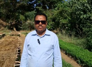 በዋግ ኽምራ ብሔረሰብ አሥተዳደር ከ5 ሚሊዮን በላይ ችግኝ ለመትከል ዝግጅት እየተደረገ ነው።
