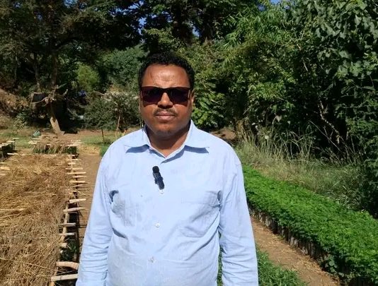 በዋግ ኽምራ ብሔረሰብ አሥተዳደር ከ5 ሚሊዮን በላይ ችግኝ ለመትከል ዝግጅት እየተደረገ ነው።