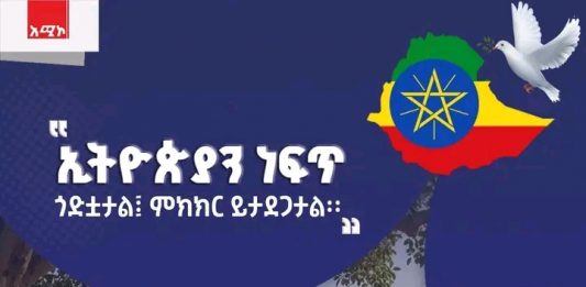 🕊️ “ኢትዮጵያን ነፍጥ ጎድቷታል፤ ምክክር ይታደጋታል”