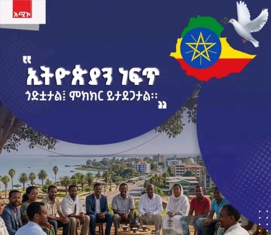 🕊️ “ኢትዮጵያን ነፍጥ ጎድቷታል፤ ምክክር ይታደጋታል”