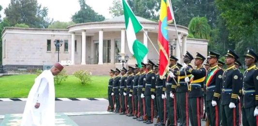 የኢፌድሪ ፕሬዚዳንት ታዬ አጽቀሥላሴ የተለያዩ ሀገራት አምባሳደሮችን የሹመት ደብዳቤ ተቀበሉ።