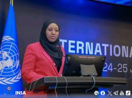 የዲጂታል ሉዓላዊነትን ለማረጋገጥ እየተሠራ ነው።