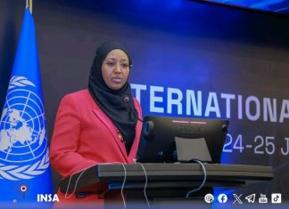የዲጂታል ሉዓላዊነትን ለማረጋገጥ እየተሠራ ነው።