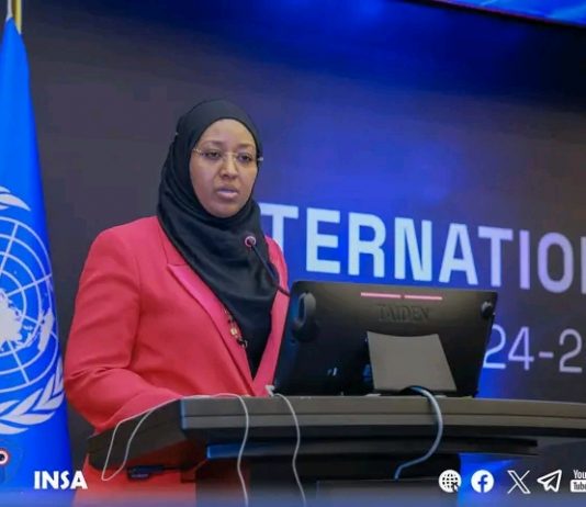 የዲጂታል ሉዓላዊነትን ለማረጋገጥ እየተሠራ ነው።