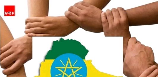 የሀሳብ ልዩነቶች ቢኖሩም እንኳ በሀገር እና በሰላም ጉዳይ በጋራ መሥራት ግን መሠረታዊ ነው።