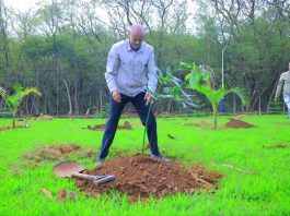 ርእሰ መሥተዳድር አረጋ ከበደ በጽሕፈት ቤታቸው ችግኝ ተከሉ።