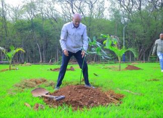 ርእሰ መሥተዳድር አረጋ ከበደ በጽሕፈት ቤታቸው ችግኝ ተከሉ።