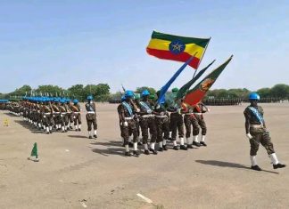 ለሰላም ሰፊ እድል የሰጠች ፤ ለቀጣናው ዋስትና የሚሆን ግዙፍ ኀይልን የገነባች!