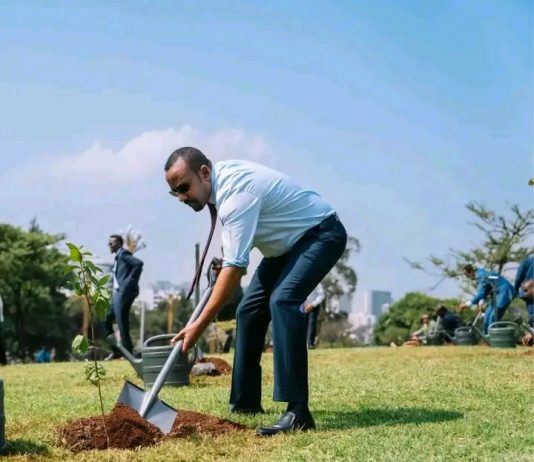ኢትዮጵያ የተገለጠችበት ደማቅ ብሔራዊ ቀለም!