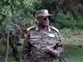 “ሠራዊቱ በጸረ ሽምቅ ስምሪት ያስመዘገባቸው ድሎች የተላላኪዎችን አንገት ያስደፋ እና ሰላም ወዳዱን ሕዝብ ያስደሰተ ነው” ሌተናል ጀኔራል መሐመድ ተሰማ