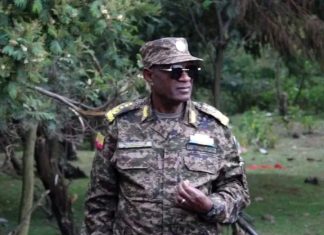“ሠራዊቱ በጸረ ሽምቅ ስምሪት ያስመዘገባቸው ድሎች የተላላኪዎችን አንገት ያስደፋ እና ሰላም ወዳዱን ሕዝብ ያስደሰተ ነው” ሌተናል ጀኔራል መሐመድ ተሰማ