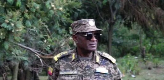 “ሠራዊቱ በጸረ ሽምቅ ስምሪት ያስመዘገባቸው ድሎች የተላላኪዎችን አንገት ያስደፋ እና ሰላም ወዳዱን ሕዝብ ያስደሰተ ነው” ሌተናል ጀኔራል መሐመድ ተሰማ
