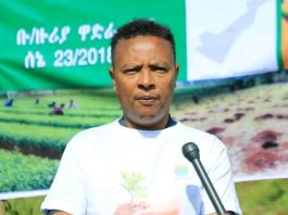 አረንጓዴ አሻራ የአርሶ አደሮችን ተጠቃሚነት እያሳደገ ነው።