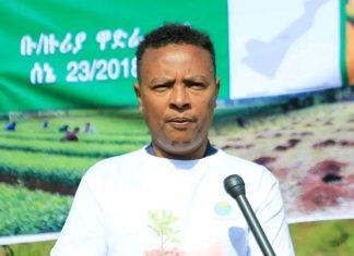 አረንጓዴ አሻራ የአርሶ አደሮችን ተጠቃሚነት እያሳደገ ነው።