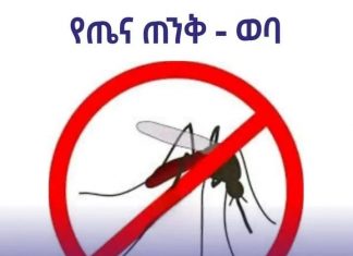 የክረምቱን መግባት ተከትሎ ከሚከሰት የወባ በሽታ ጥንቃቄ ማድረግ ይገባል።