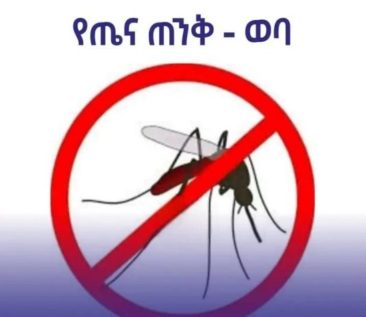 የክረምቱን መግባት ተከትሎ ከሚከሰት የወባ በሽታ ጥንቃቄ ማድረግ ይገባል።