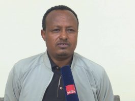 በዘንድሮው ክረምት 25 ሚሊዮን የፍራፍሬ እና የቡና ችግኝ በክልሉ ሁሉም አካባቢ ይተከላል።