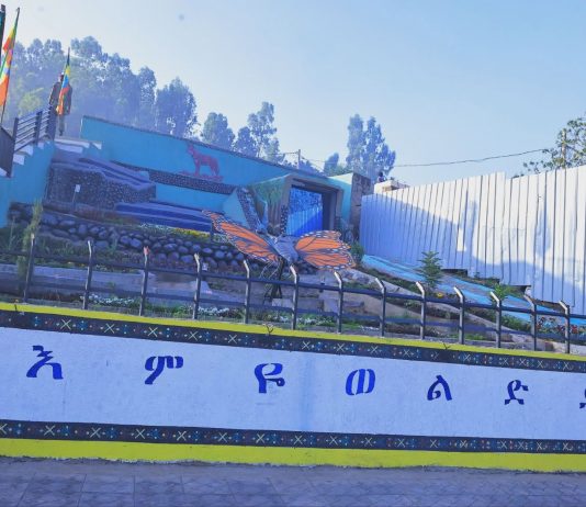 ወልድያ አሁን በለውጥ ላይ መኾኖን ነዋሪዎቿ ተናገሩ።