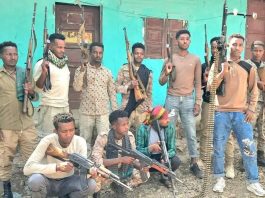 በምዕራብ ጎጃም ዞን 418 ታጣቂዎች የሰላም አማራጭን ተቀብለዋል።
