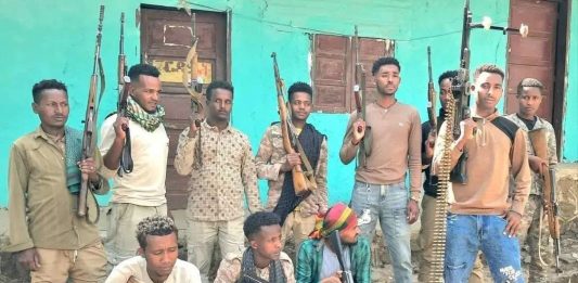 በምዕራብ ጎጃም ዞን 418 ታጣቂዎች የሰላም አማራጭን ተቀብለዋል።