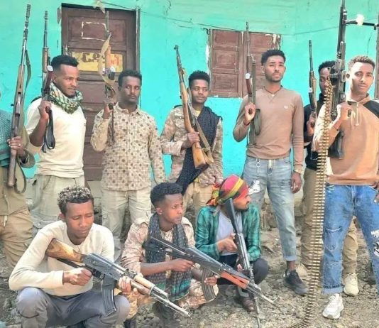 በምዕራብ ጎጃም ዞን 418 ታጣቂዎች የሰላም አማራጭን ተቀብለዋል።