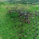 አረንጓዴ አሻራ ኢትዮጵያ በዓለም መድረክ አርዓያ እንድትኾን አድርጓታል። 726247532_2290921698404298_5486413008978174561_n