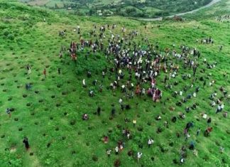 አረንጓዴ አሻራ ኢትዮጵያ በዓለም መድረክ አርዓያ እንድትኾን አድርጓታል።