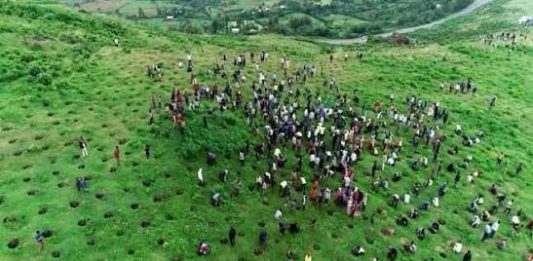 አረንጓዴ አሻራ ኢትዮጵያ በዓለም መድረክ አርዓያ እንድትኾን አድርጓታል።