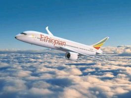 ታላቁ የቢሾፍቱ አውሮፕላን ማረፊያ ኘሮጀክት የኢትዮጵያ የመቻል ማሳያ ነው።