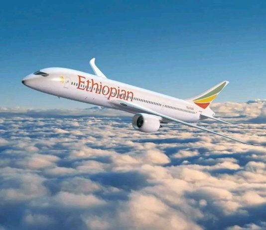 ታላቁ የቢሾፍቱ አውሮፕላን ማረፊያ ኘሮጀክት የኢትዮጵያ የመቻል ማሳያ ነው።