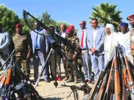 በሰሜን ሸዋ ዞን በሺህዎች የሚቆጠሩ ታጣቂዎች የሰላም አማራጭን ተቀብለዋል።