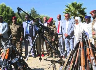 በሰሜን ሸዋ ዞን በሺህዎች የሚቆጠሩ ታጣቂዎች የሰላም አማራጭን ተቀብለዋል።