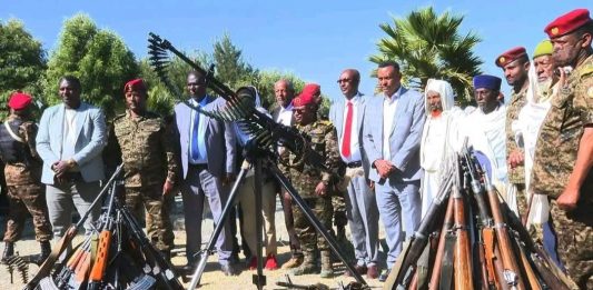 በሰሜን ሸዋ ዞን በሺህዎች የሚቆጠሩ ታጣቂዎች የሰላም አማራጭን ተቀብለዋል።