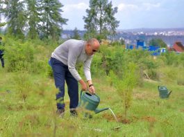 “አረንጓዴ አሻራችን በተባበሩ ክንዶች እና በመደመር የከበረ እሳቤ የመሥራት ምስክር ነው” ምክትል ጠቅላይ ሚኒስትር ተመሥገን ጥሩነህ