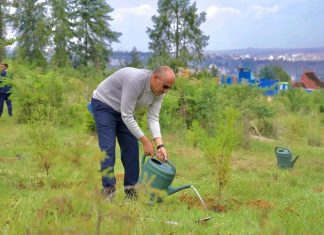 “አረንጓዴ አሻራችን በተባበሩ ክንዶች እና በመደመር የከበረ እሳቤ የመሥራት ምስክር ነው” ምክትል ጠቅላይ ሚኒስትር ተመሥገን ጥሩነህ