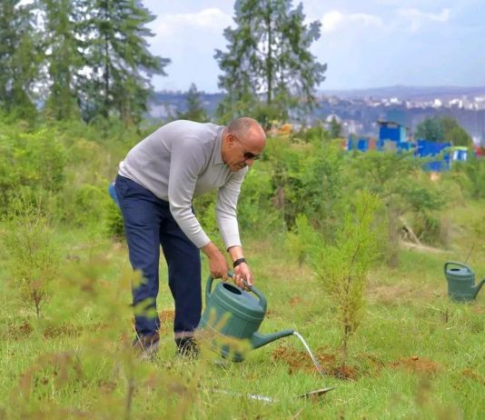 “አረንጓዴ አሻራችን በተባበሩ ክንዶች እና በመደመር የከበረ እሳቤ የመሥራት ምስክር ነው” ምክትል ጠቅላይ ሚኒስትር ተመሥገን ጥሩነህ