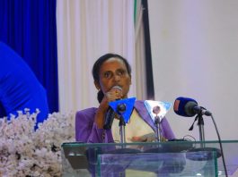 “የፈጠራ ሥራዎችን መደገፍ እና ዳር ማድረስ ይገባል” ሙሉነሽ ደሴ (ዶ.ር)