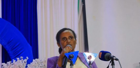 “የፈጠራ ሥራዎችን መደገፍ እና ዳር ማድረስ ይገባል” ሙሉነሽ ደሴ (ዶ.ር)