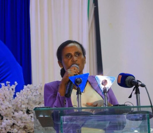 “የፈጠራ ሥራዎችን መደገፍ እና ዳር ማድረስ ይገባል” ሙሉነሽ ደሴ (ዶ.ር)