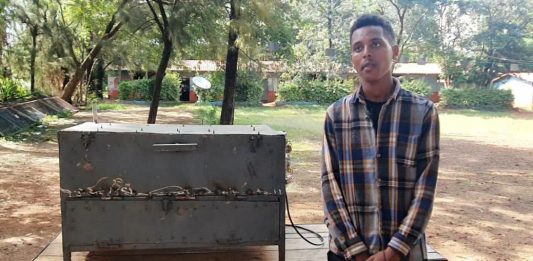 ለጋ ዕድሜ – ትልቅ ሕልም – ጅምር አበርክቶ